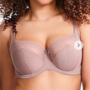 Sculptresse bra size 36GGLace Trim Underwire Bra - Mauve
Worn once